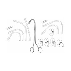 RANDALL Kidnet Stone Forceps