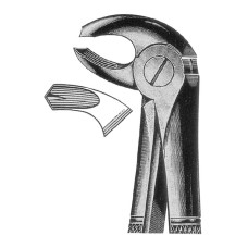 Extracting Forceps Fig-24