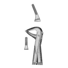 Extracting Forceps Fig-74M