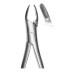 Extracting Forceps Roba Fig 150